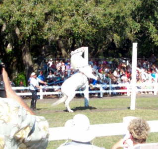 vacation feb2006 131a